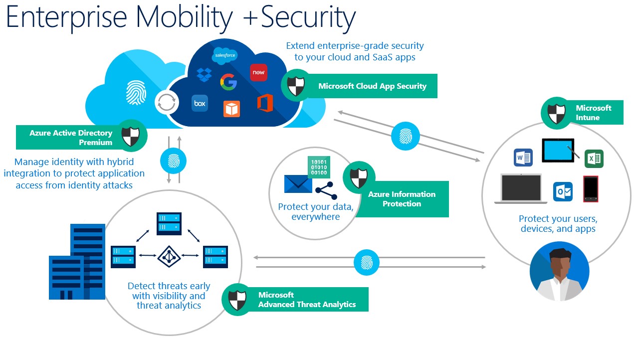 azure rms sharing with external users